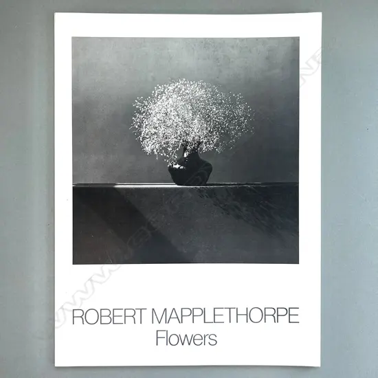 ROBERT MAPPLETHORPE: FLOWERS